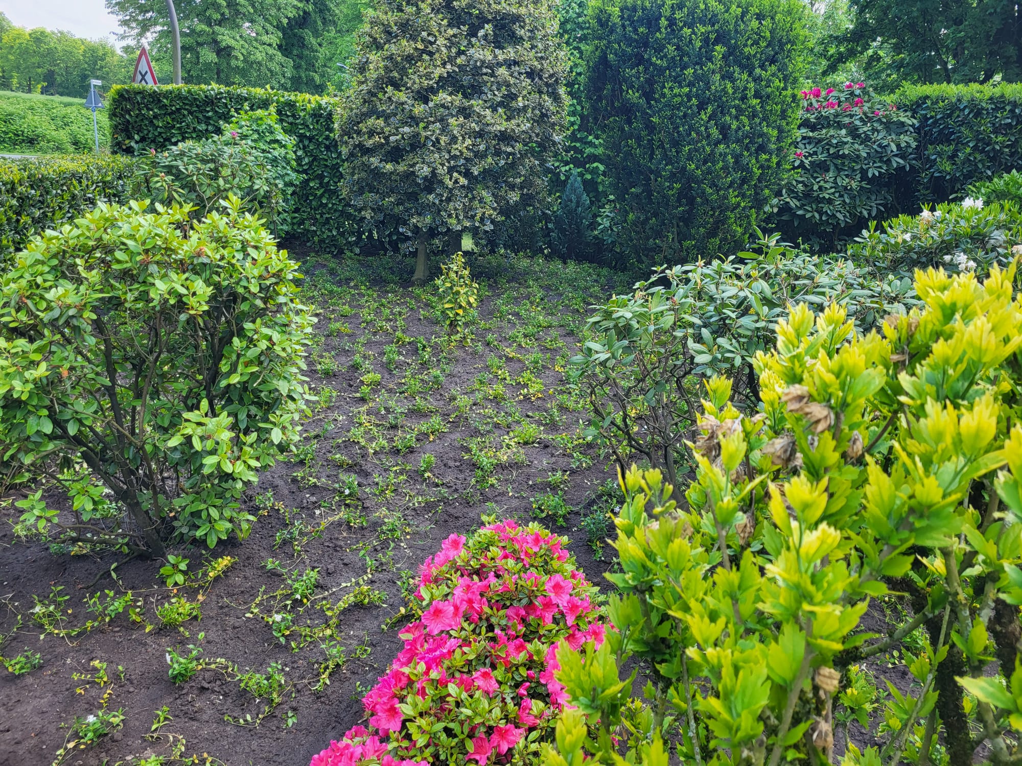 Bepflanzung und Gartengestaltung in Datteln – Staudenbeete, Gehölze und Sichtschutzpflanzen